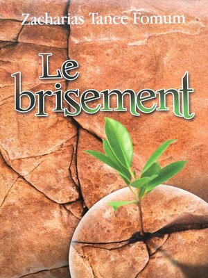 cover image of Le Brisement (Le Secret du Debordement Spirituel)